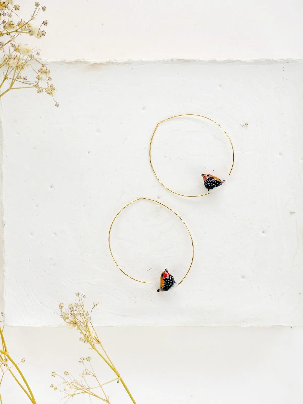 Moyennes créoles Sénégali de Verreaux - Image 3