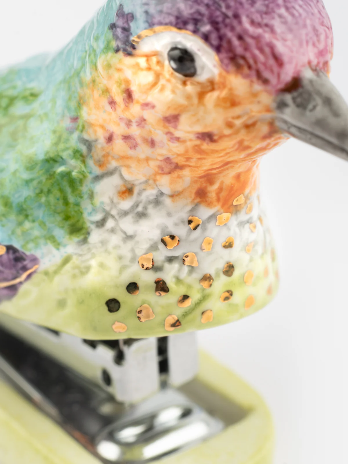 Agrafeuse colibri d'Anna - Image 3